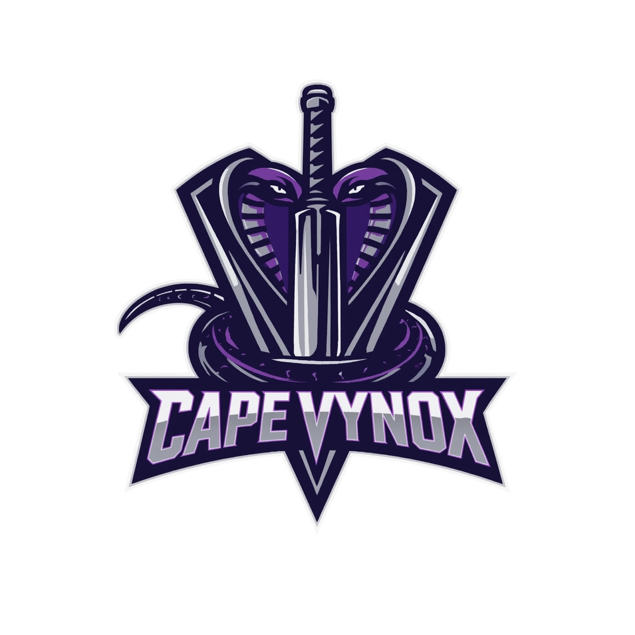 logo-team